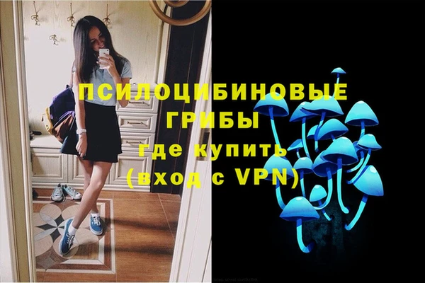 тгк Новозыбков