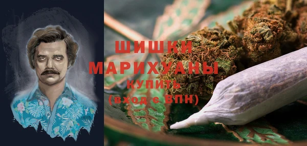 тгк Новозыбков