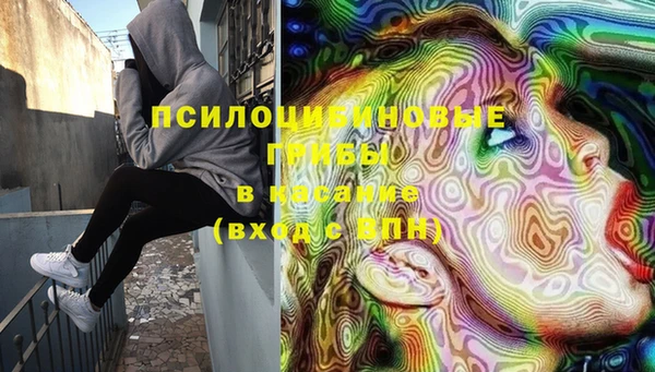 тгк Новозыбков