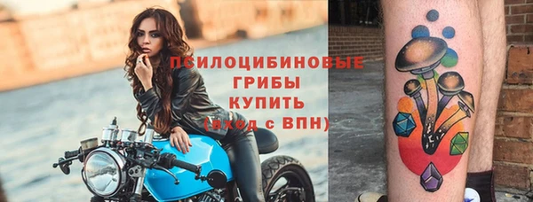 мдма Новодвинск