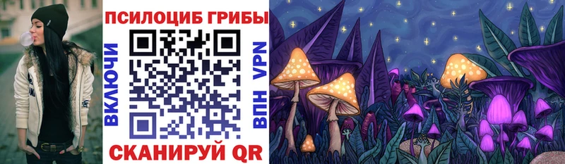 Галлюциногенные грибы прущие грибы  Покров 