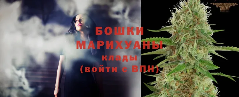 Канабис OG Kush  Покров 